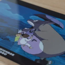 Discount Maison Ghibli A4 Size Clear Folder Walk Of The Night Sky - My Neighbour Totoro