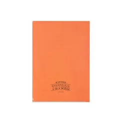 Clearance Maison Ghibli Art Deco Clear Folder A4 - My Neighbor Totoro