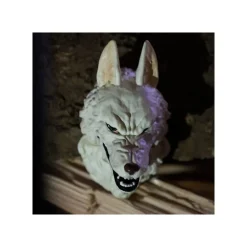 Hot Maison Ghibli 3D Character Magnet -Princess Mononoke