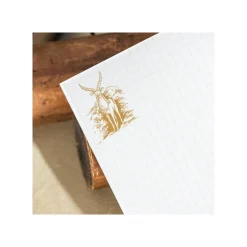 Outlet Maison Ghibli Notebook B6 Animals In The Forest - Princess Mononoke