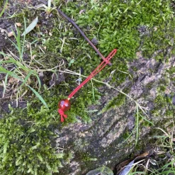 Discount Maison Ghibli Statue Kodama C & 1 Blind Power Stone - Princess Mononoke